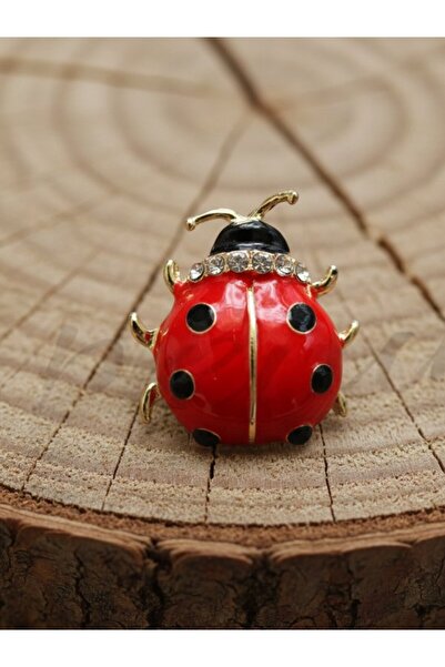 Punky Store Uğur Böceği Broş – Sevgililer Günü Kart Tasarımlı, Hediye- Taşlı ...