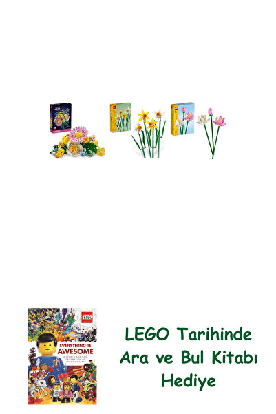 Bloomsbury مجموعة النباتات 182 (10347 + 40747 + 40647) + هدية كتاب البحث والبحث