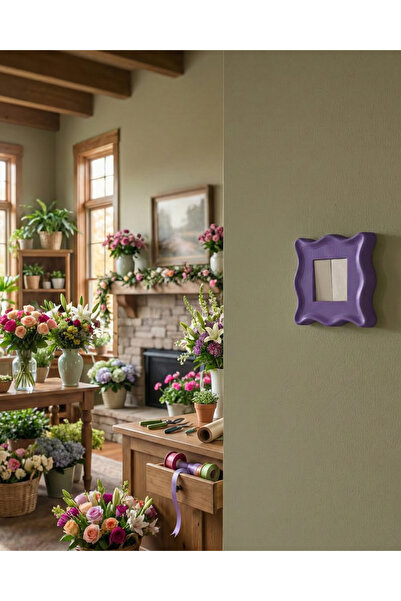 Home Priz Çerçevesi