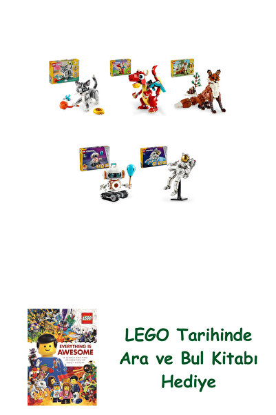 Bloomsbury Creator Set 386 (31163 + 31145 + 31154 + 31164 + 31152) + Find and...