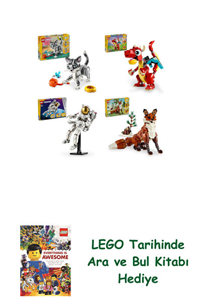 Bloomsbury مجموعة كرياتور 204 (31163 + 31145 + 31152 + 31154) + كتاب البحث وا...