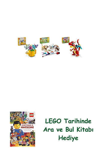 Bloomsbury مجموعة المبدع 117 (31149 + 31137 + 31145) + كتاب البحث والبحث كهدية