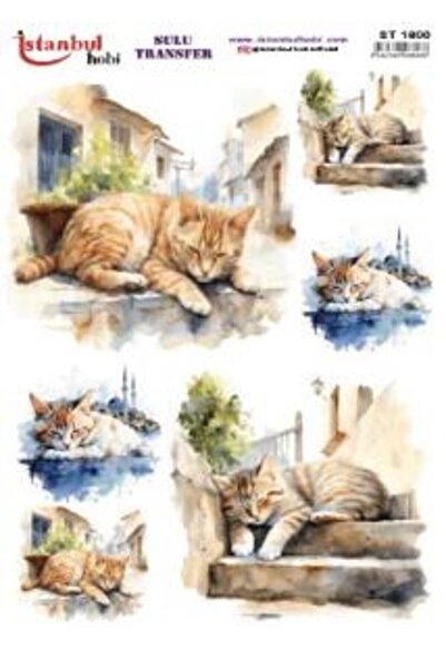 İstanbul Hobi Water Transfer Paper 25X35Cm St-1600