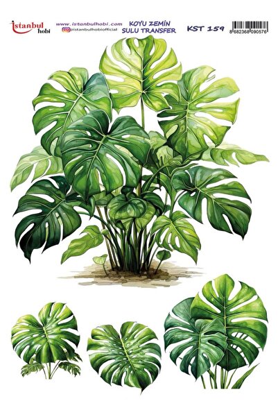 İstanbul Hobi Dark Background Water Transfer Paper 25X35Cm Kst-159 Sheets