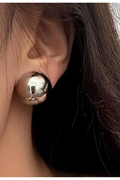 KANERUZ Silver Color Steel Earrings