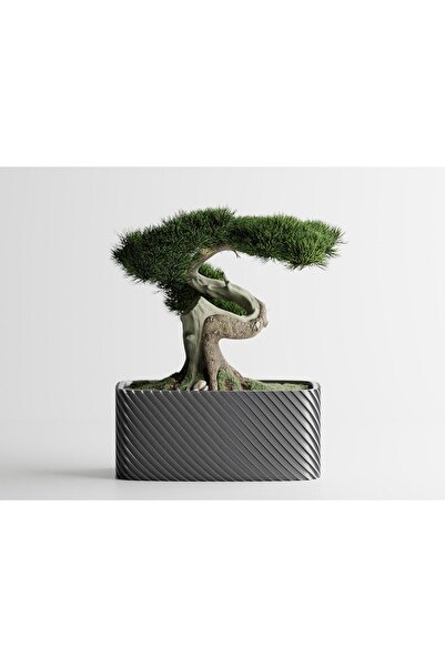 Sani Ghiveci decorativ Sani, Bonsai, mic 164 x 64 x 50 mm, Argintiu