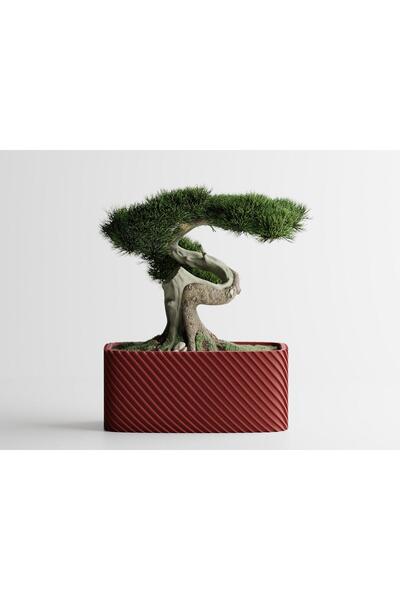 Sani Ghiveci decorativ Sani, Bonsai, mic 164 x 64 x 50 mm, Roșu închis mat