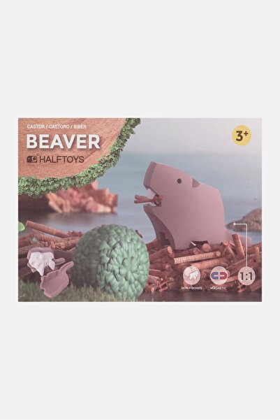 Halftoys ألغاز التجميع المغناطيسية لأصدقاء غابة القندس، مجموعة وردية