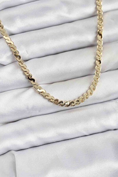 Skygo Brass Gold Color Flat Chain Women's Necklace - Tj-Bko10818