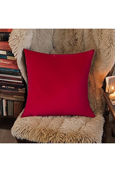 Valerium غطاء وسادة من القماش الناعم ذو الملمس المخملي 40 × 40 - قطعتان (بدون...