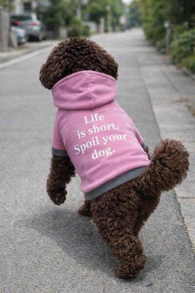 Alphadog سترة للكلاب من السلالات الصغيرة من الصوف الأرجواني 5 (مناسبة للوزن م...