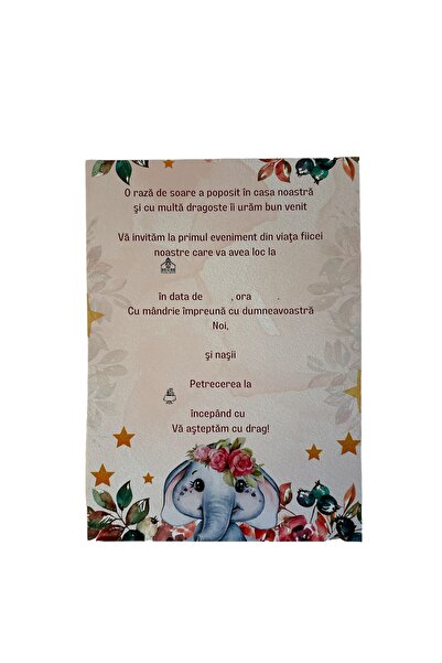 OEM Invitatie Nunta M21, Carton, Multicolor, 13x18 cm