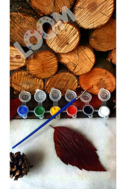 loom Akrilik Boya 6 Farklı Ana Renk (3'er ml haznede) + Akrilik Boya Fırçası ...