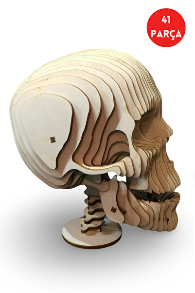 ALGWOOD 3 Boyutlu Anatomical Skull Ahşap Maket – 41 Parça Lazer Kesim Koleksi...