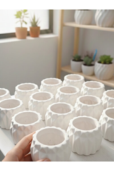 NO BRAND Dekoratif Taş Saksı 15’li Set – Kaktüs ve Sukulentlere Uygun