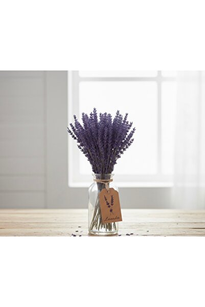 Rosess Şoklanmış Dökülmeyen Gerçek Lavanta Demeti