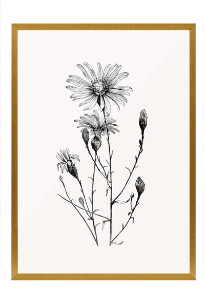 Postifull Tablou vintage, poster cu rama aurie, decor de perete vintage