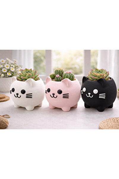 pernator Sevimli Kedi Tasarımlı Mini Sukulent Kaktüs Bitki Saksısı Beyaz Pemb...