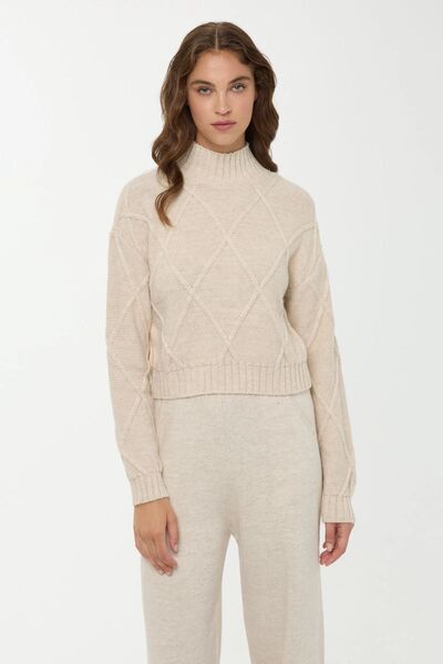 Hiccup Textured Knitwear Sweater