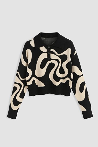 Hiccup Pulover tricotat cu guler polo și jacquard