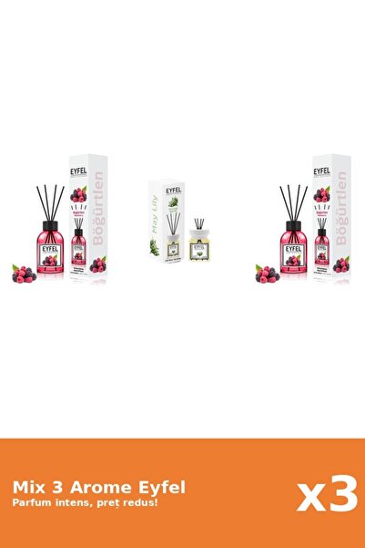 Eyfel Set 3 Mix Eyfel: 2x Fructe De Padure, 1x Lacramioare