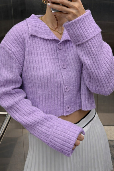 Noi Belis Basic Crop Soft Textured Stand Collar Knitwear Cardigan Aw25Hi0004