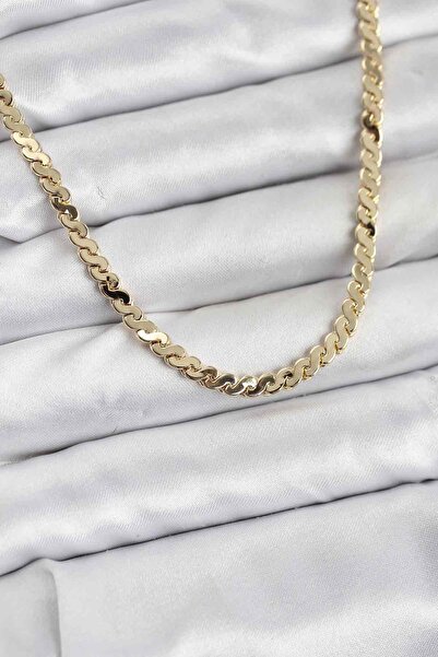 Inure Jewelry Brass Gold Color Flat Chain Women's Necklace