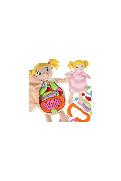 Three top online Anatomical Doll Learning Anatomy Girl