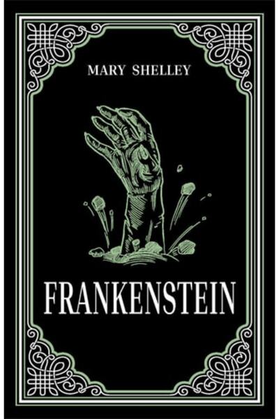 Book Boss فرانكشتاين: رواية كلاسيكية لماري شيلي