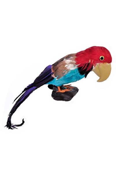 OEM Accesoriu Pirat Papagal pentru Umar 50cm