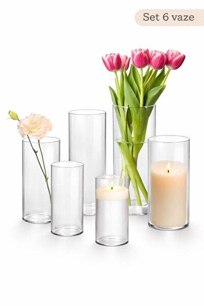 ComSaf Set of 6 cylindrical transparent glass vases, 3 different sizes, for f...