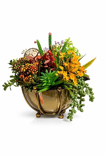 HaRe Home Ahtapot Saksılı Yapay Sukulent Aranjmanı