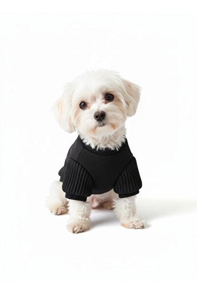 For a Fur Black Dog Sweat Dog Sweater with Glittery Wicking Detail on the Sle...