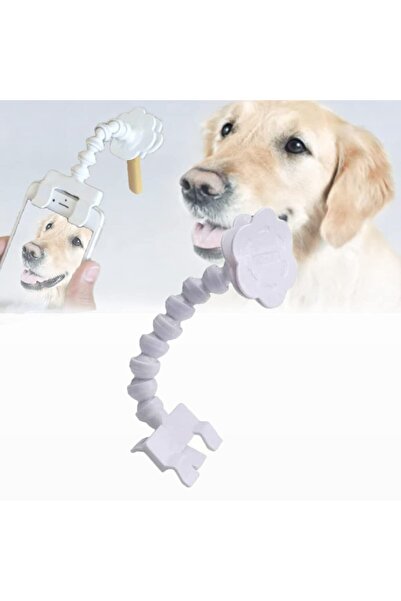 MultiZone Pet Photo Shooting Apparatus – Camera Attractive Toy Apparatus for ...