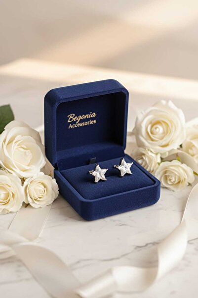 Begonia Accessories Vip Steel Star Zircon Stone Luxury Earrings – Stainless, ...