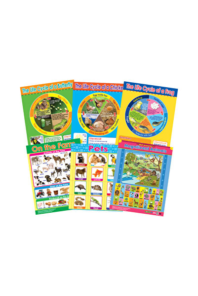 123Publishing House الحيوانات ودورات حياتها (6 لوحات جدارية) - مجموعة لوحات ج...