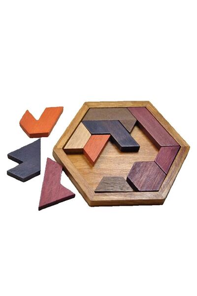 Choice building blocks Wooden Geometric Shape Jigsaw Board Puzzles Kids Brain...