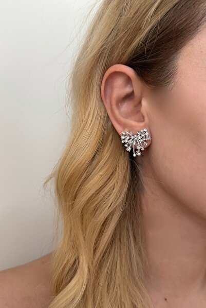 Silver Zircon Stone Detailed Star Earrings