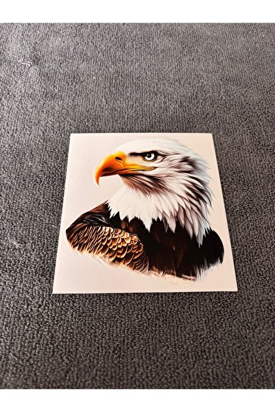 otopaspascım ملصق كارتال - ملصق كارتال للتركيب الخارجي - ملصق (10x11)