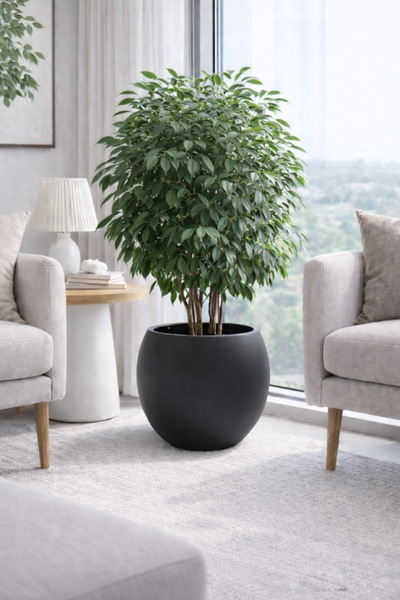 Alezy Küre Model Dekoratif Modern Saksı 27,5 lt Antrasit