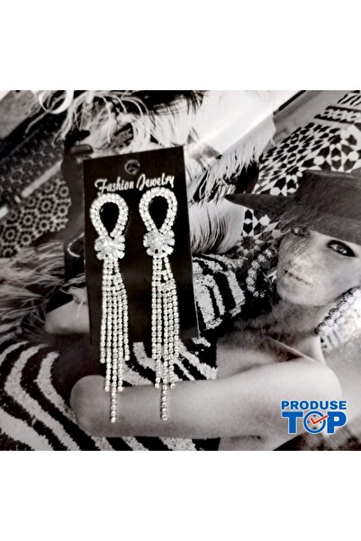 Produse.Top Elegant Long Silver Earrings with Fringes and Rhinestones CW66