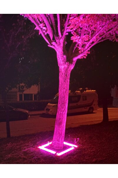 CAMANA Ağaç Duvar Aydınlatma Walwasher Led Cephe Işık Boyama Lambader Ip68 Kı...