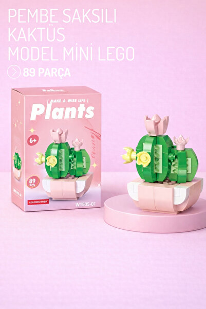 Nandy Home Pembe Saksılı Kaktüs Model Karakter Figürü 3D Yapı Oyuncakları