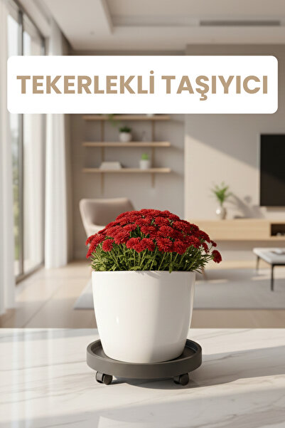 Plant Home Power Mix Tekerlekli Saksı Taşıyıcı – 360° Dönen Tekerli Saksı Alt...