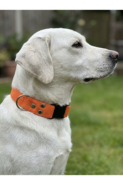 balkonda Dog Collar Adjustable for All Breeds 3 cm Width Colored Cord