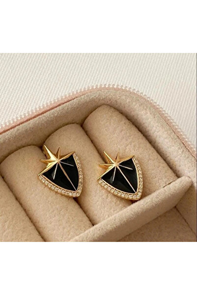 naaksesuar Gold Colored Brand Model Stone Earrings