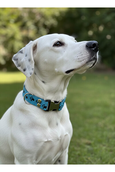 balkonda طوق للكلاب قابل للتعديل لجميع السلالات بعرض 2.5 سم مع نمط مطبوع على ...