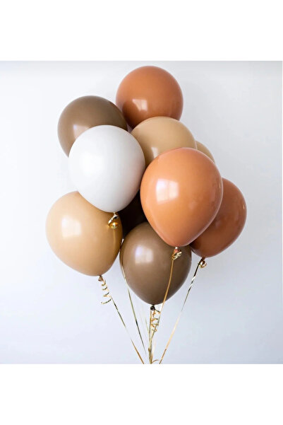 Öztürkpartievi Retro Colors Earth Tones Balloon Bundle 20 Pieces