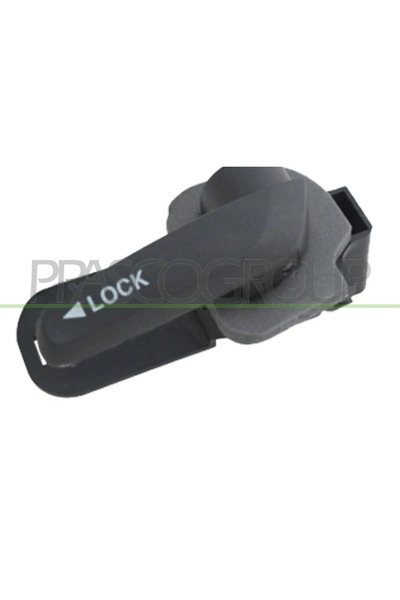 PRASCO Дръжка на вратата - интериорно оборудване - предна дясна Fiat Doblo Va...