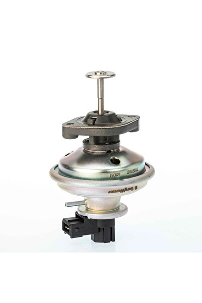 BorgWarner (Wahler) Supapa Egr Bmw 1/3/5 Mini Mini